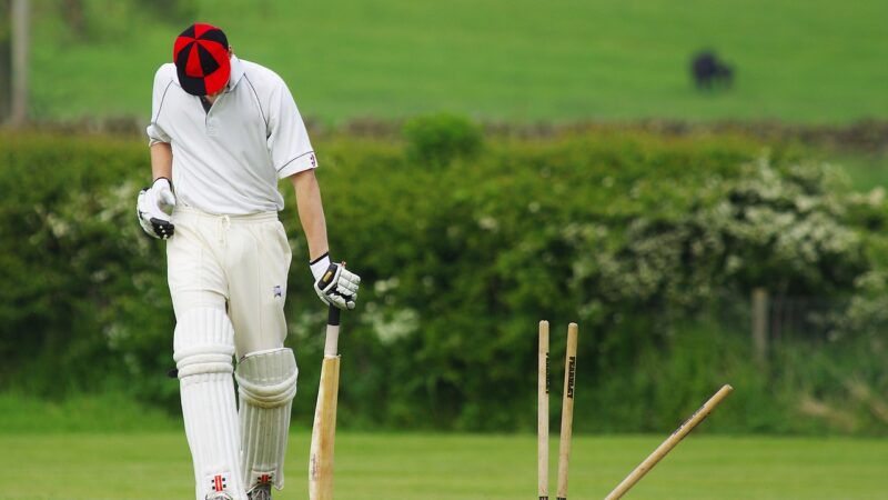 Still there are old man playing cricket
